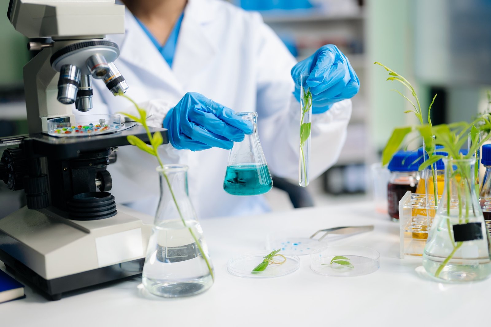 Food science as lab scientists test and analyze vegetables for safety and quality using advanced